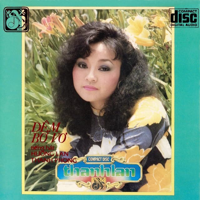 Album cover art for Đêm bơ vơ