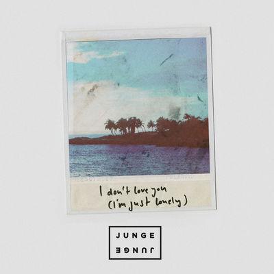 Album cover art for I Don't Love You (I'm Just Lonely)