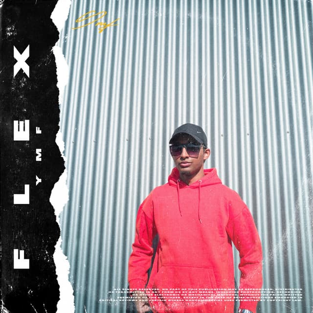 Album cover art for Flex