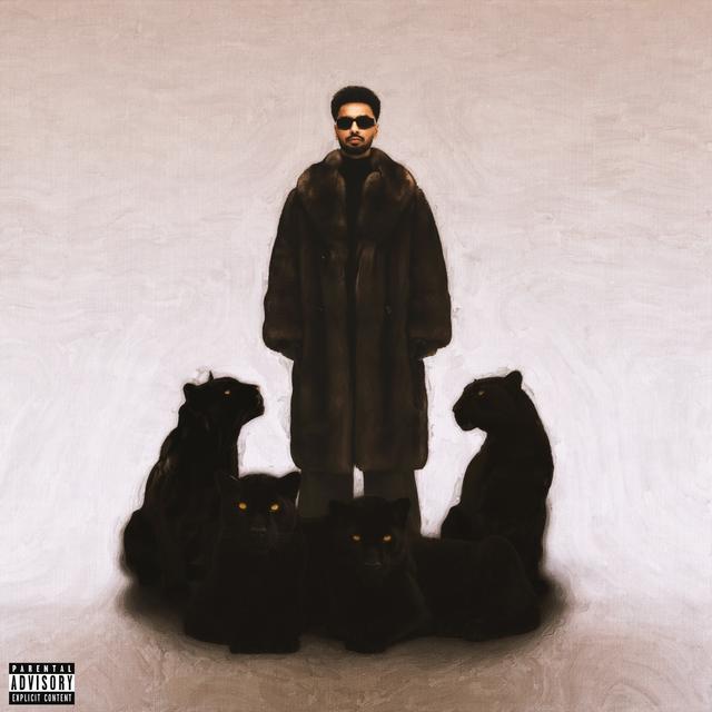 Album cover art for House Navior