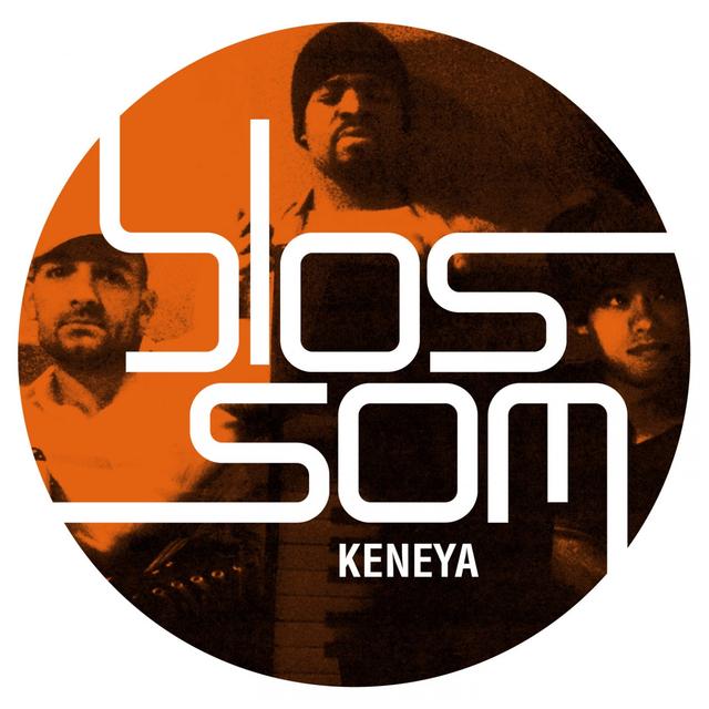Album cover art for Keneya