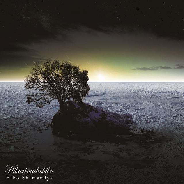 Album cover art for Hikarinadeshiko