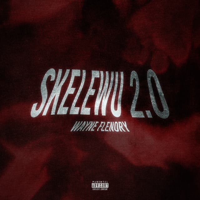 Album cover art for SKELEWU 2.0