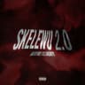 SKELEWU 2.0