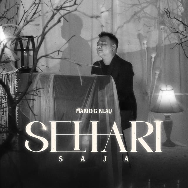 Album cover art for Sehari Saja