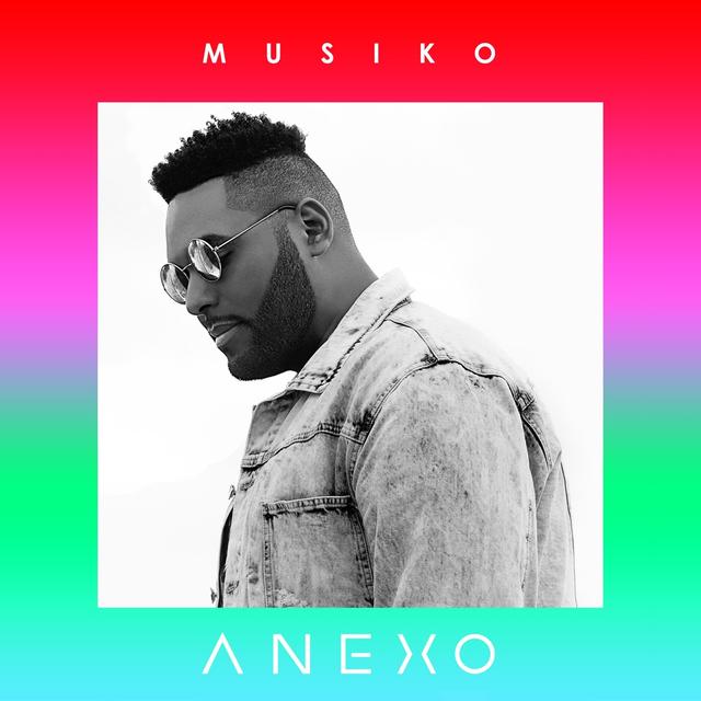 Album cover art for Anexo
