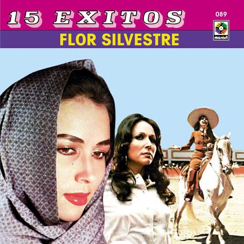 Album cover art for 15 Éxitos