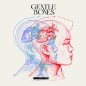 Album cover art for Gentle Bones
