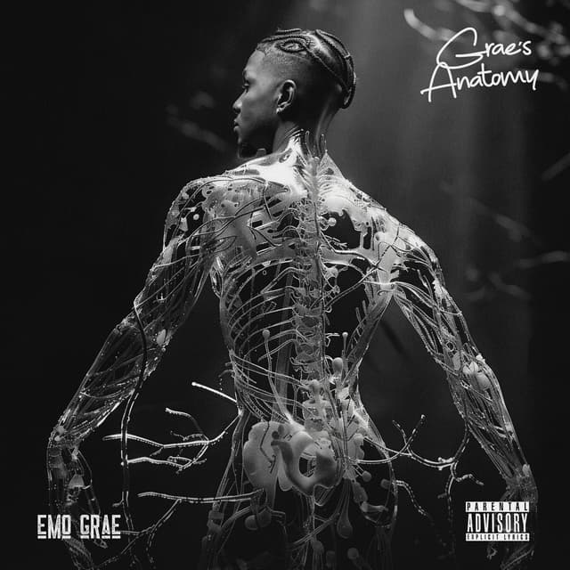 Album cover art for Grae's Anatomy