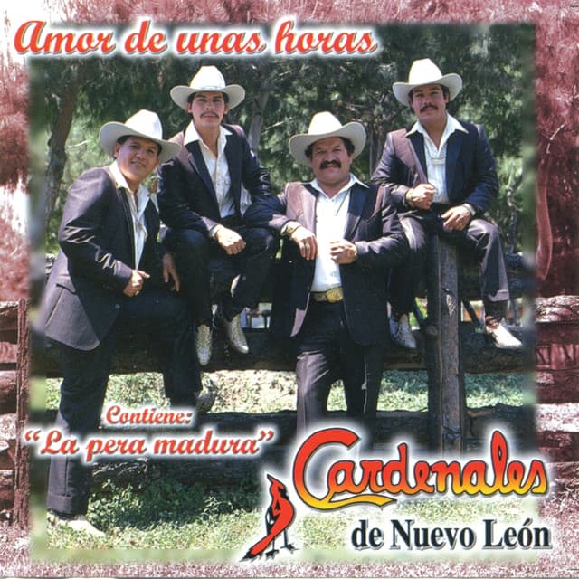 Album cover art for Amor De Unas Horas