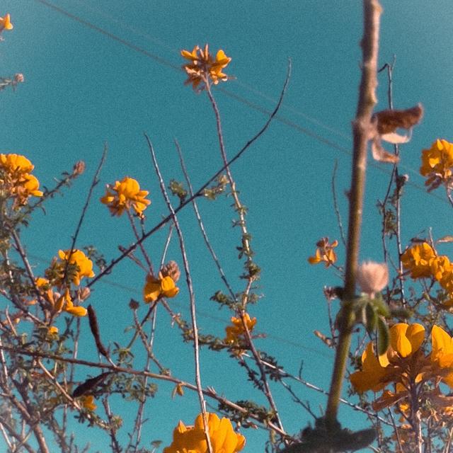 Album cover art for It Isn't Always Easy