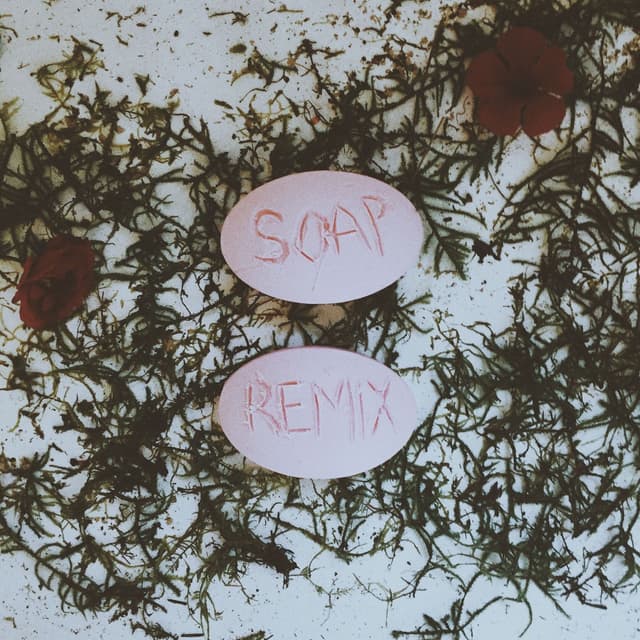 Album cover art for Soap (Remixes)
