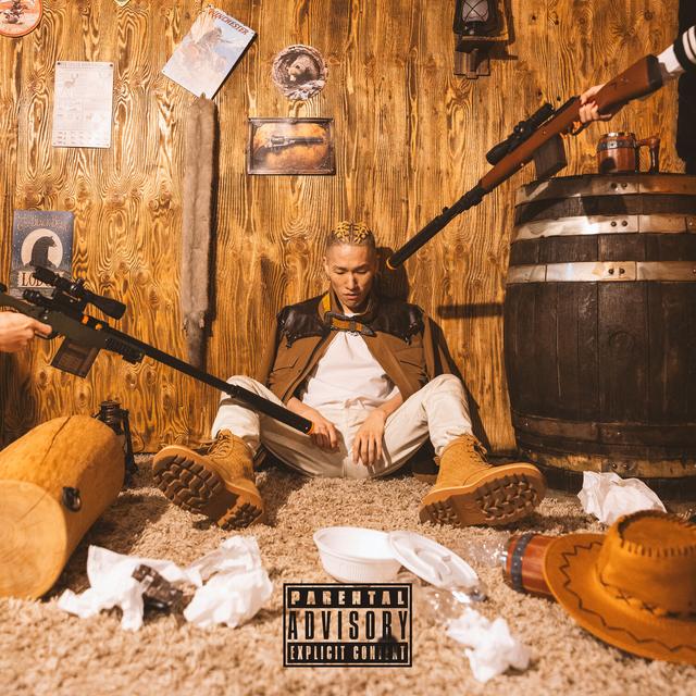 Album cover art for LIFE IS DUMB