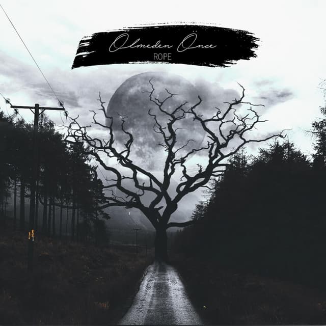 Album cover art for Ölmeden Önce