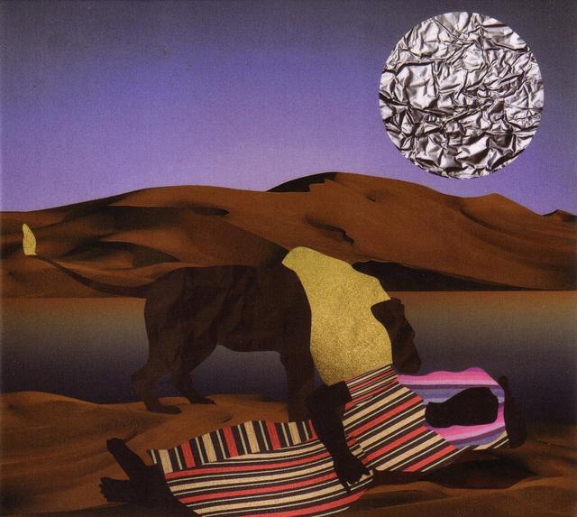 Album cover art for Night Safari