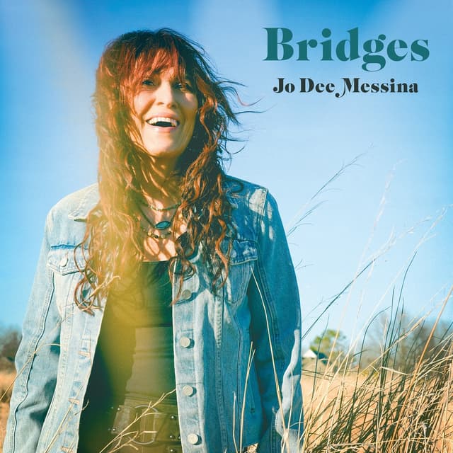 Album cover art for Bridges