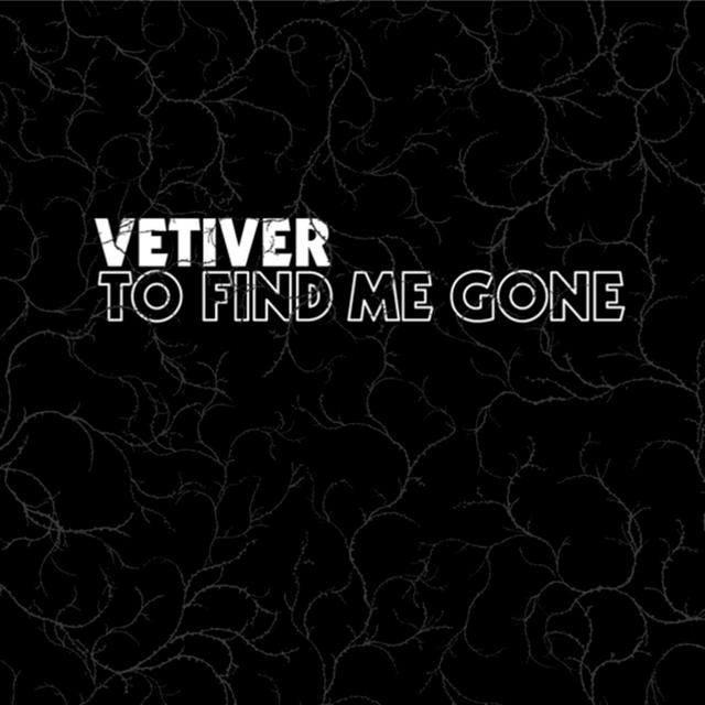 Album cover art for To Find Me Gone