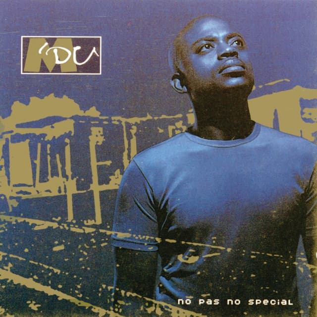 Album cover art for No Pas No Special