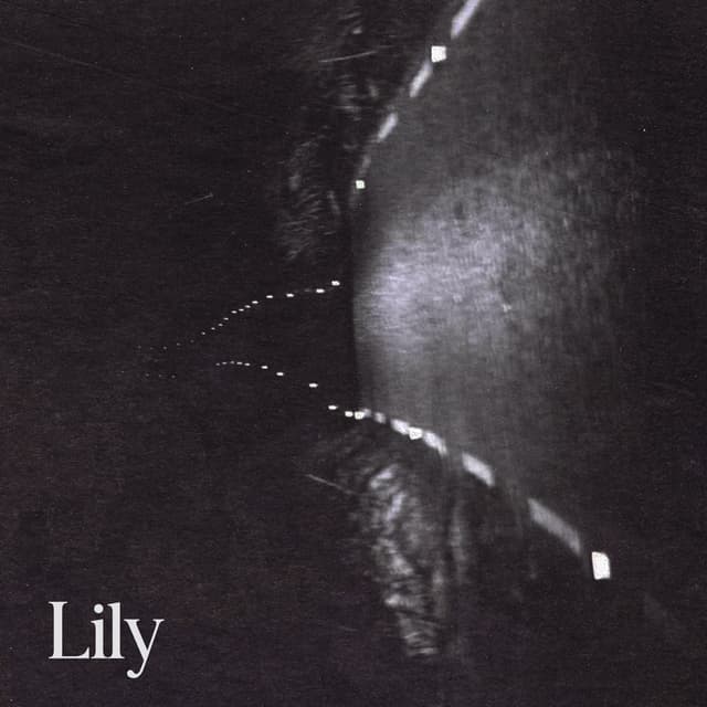 Album cover art for Lily