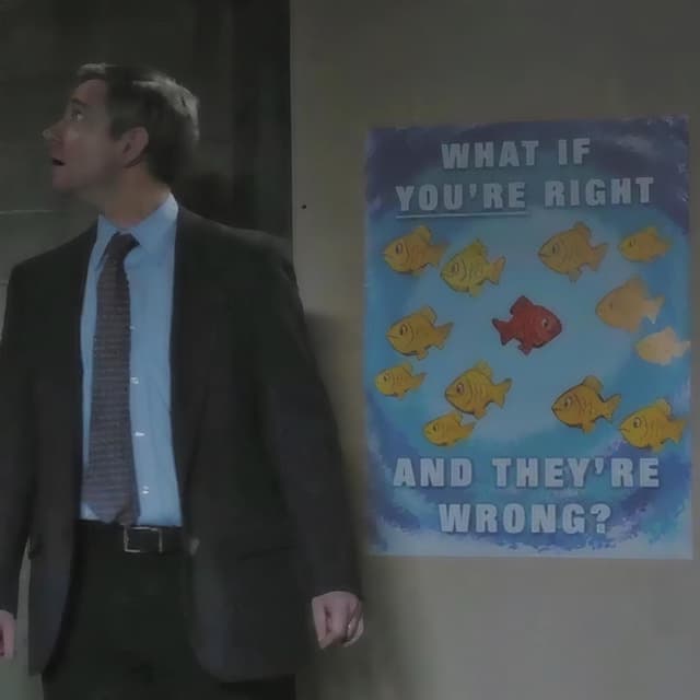Album cover art for what if you're right, and they're wrong?