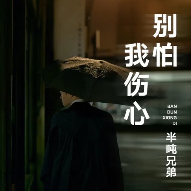 Album cover art for 别怕我伤心