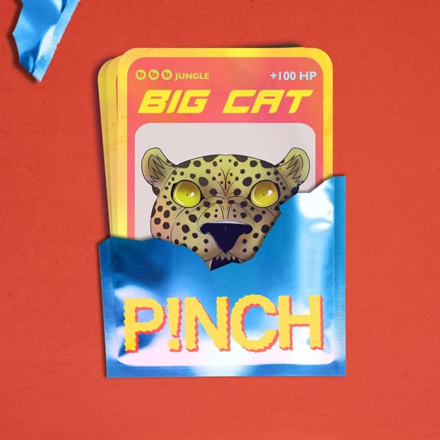 Album cover art for Big Cat