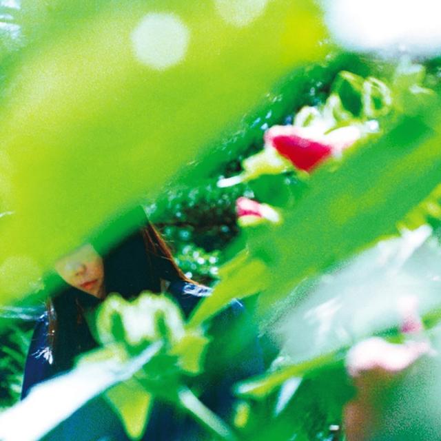Album cover art for ある春の恋人