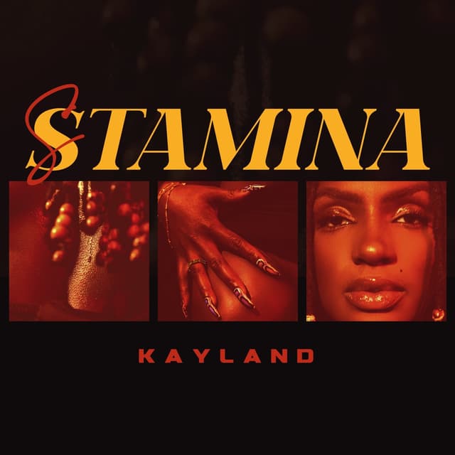 Album cover art for Stamina