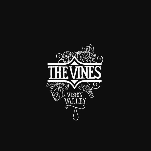Album cover art for Vision Valley