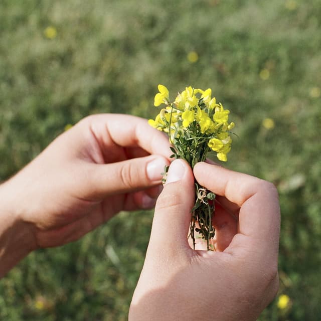 Album cover art for Forevermore