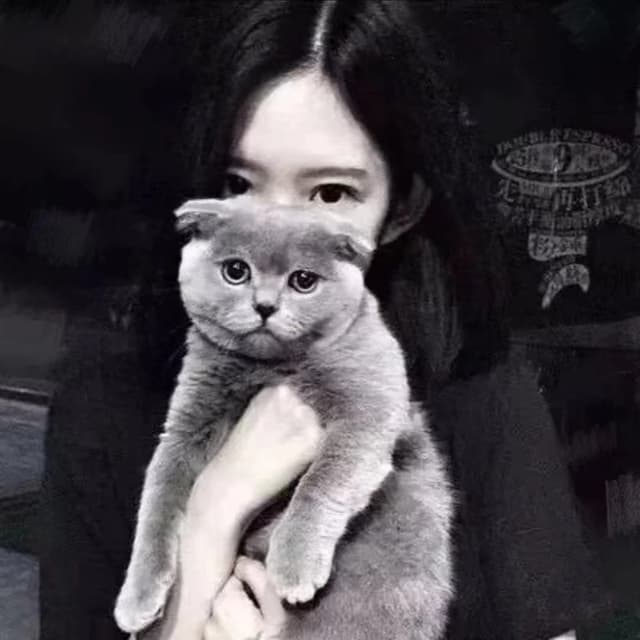 Album cover art for 安和桥