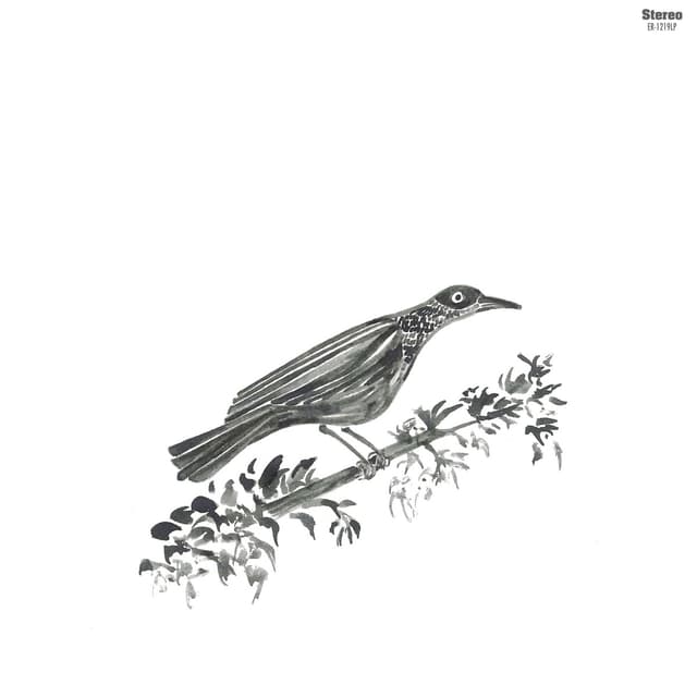 Album cover art for Canto Peregrino