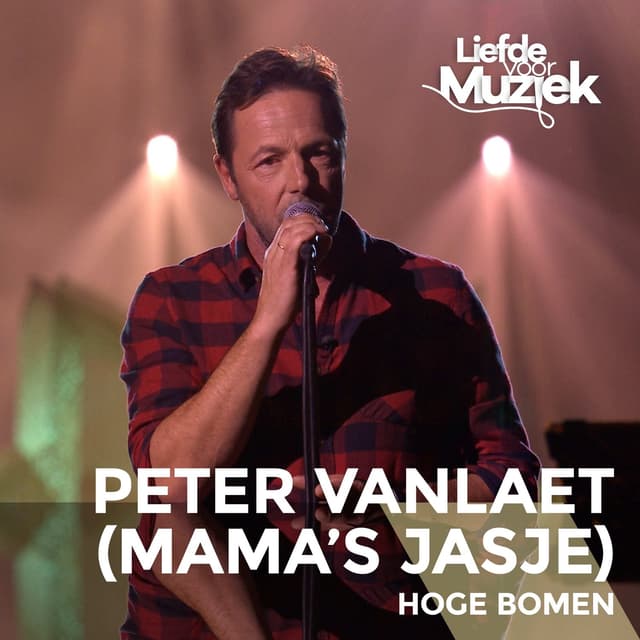 Album cover art for Hoge bomen (uit Liefde Voor Muziek)