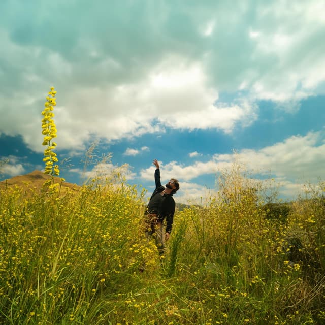 Album cover art for Flow