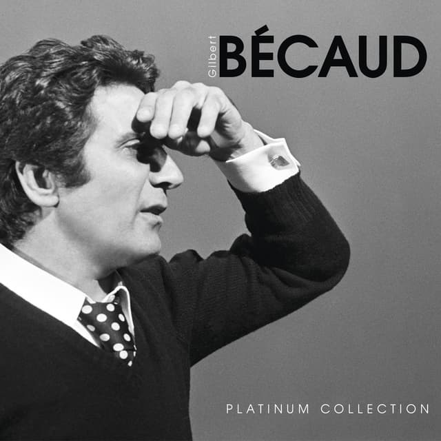 Album cover art for Platinum Collection