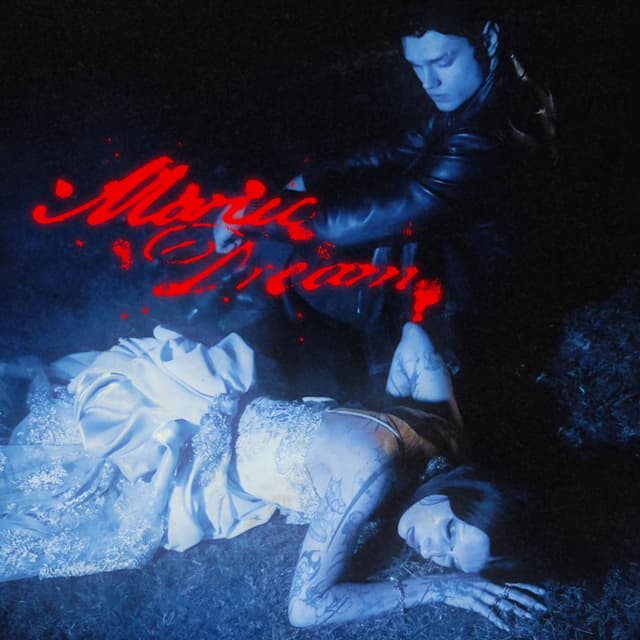 Album cover art for Manic Dream