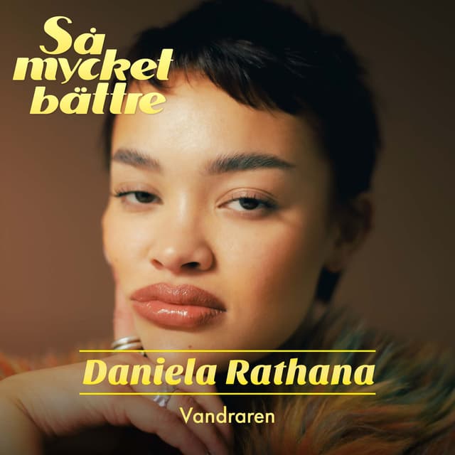 Album cover art for Vandraren