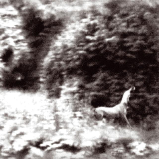 Album cover art for Ghost Days
