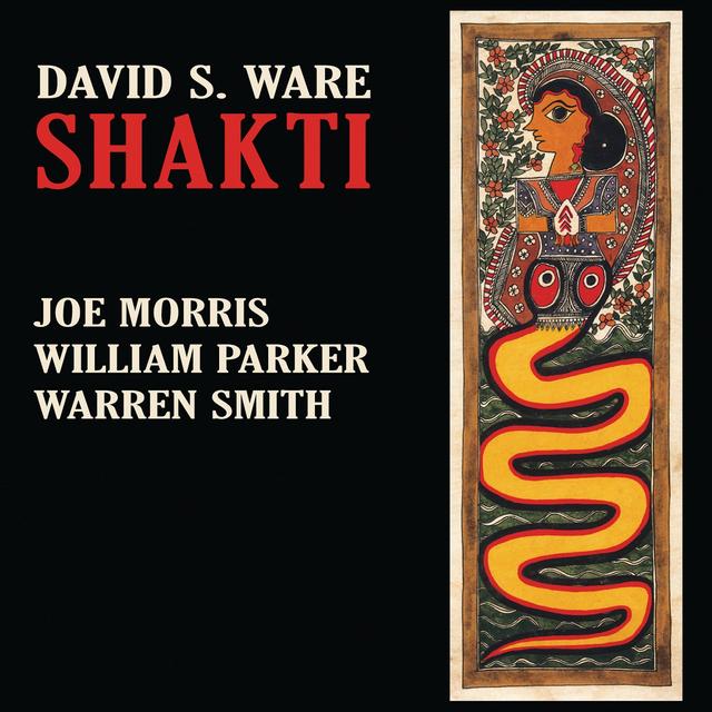 Album cover art for Shakti