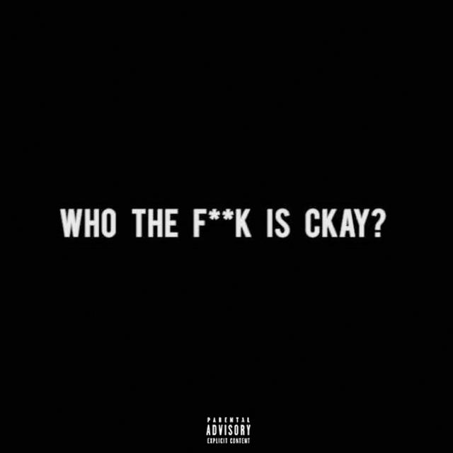 Album cover art for #WTFiCkay