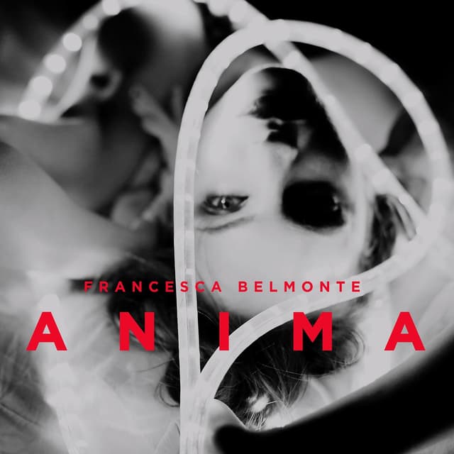 Album cover art for Anima