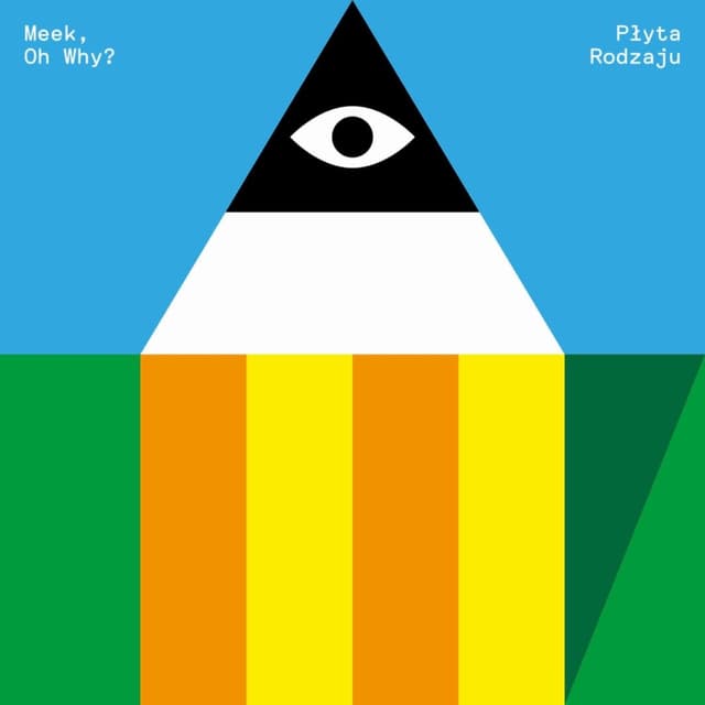 Album cover art for Płyta Rodzaju