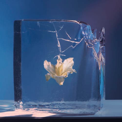 Album cover art for Night Thoughts