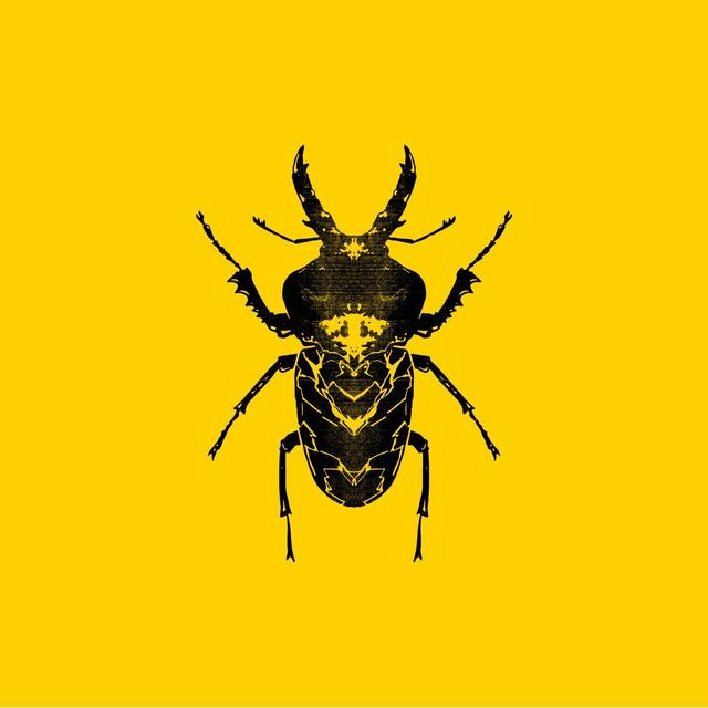Album cover art for Sect