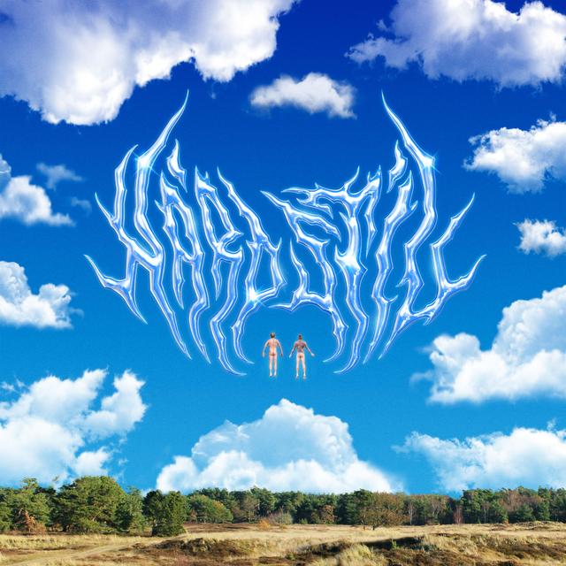 Album cover art for Hård Stil