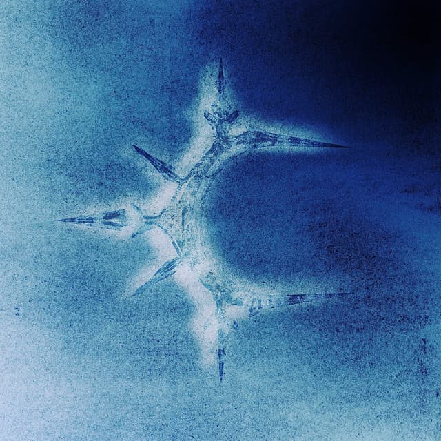 Album cover art for ICY BABY