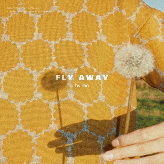 Album cover art for Fly Away