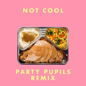 Album cover art for Not Cool (Party Pupils remix)