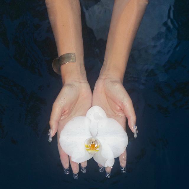 Album cover art for orchids