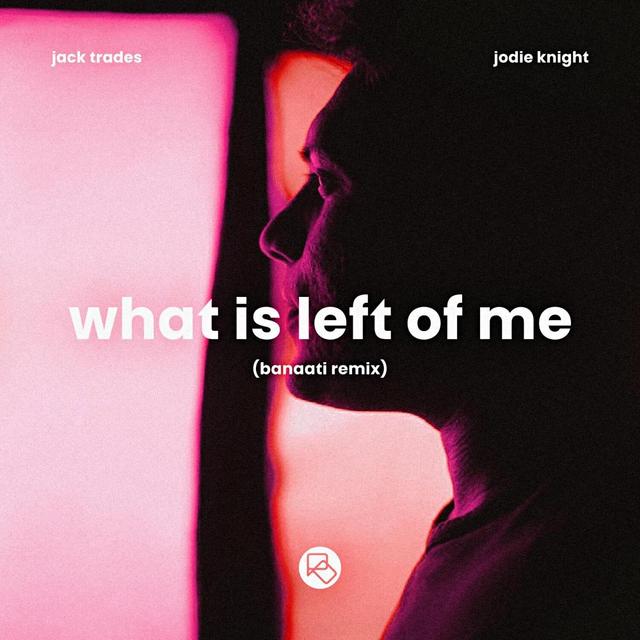 Album cover art for What Is Left Of Me (Banaati Remix)